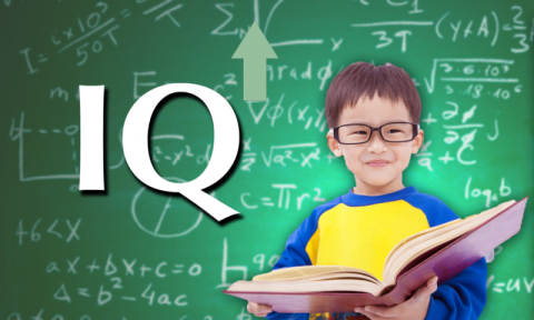 Activities and Brain Exercises that will Increase your Child’s IQ