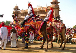 Bikaner Camel Festival: An Event Dedicated To the Ship of the Desert