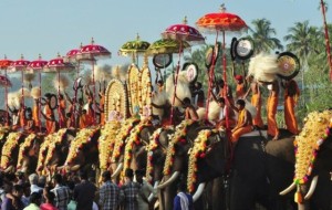 Pariyanampetta Pooram: Reflecting the Rich Culture of Kerala